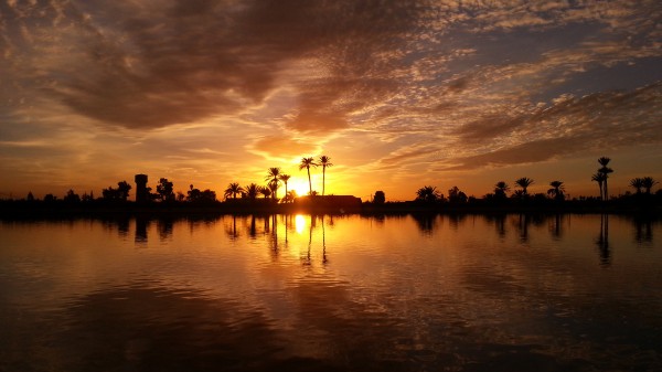 Atardecer en el jardín de La Menara, Marrakech