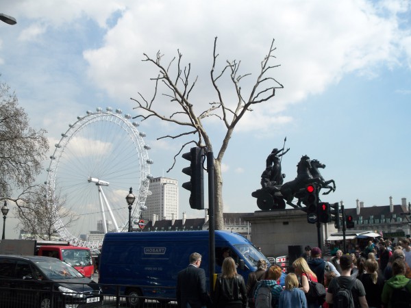 Junto al Támesis, vistas del London Eye