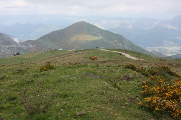 lagos-covadonga